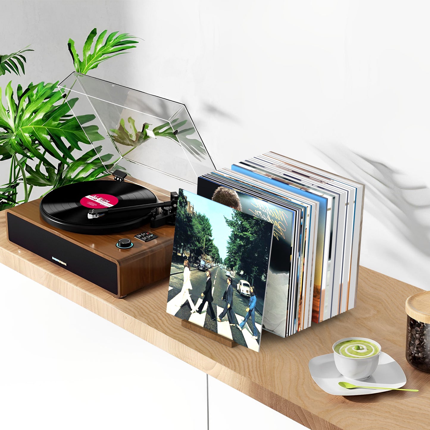 Vinyl Record Holder