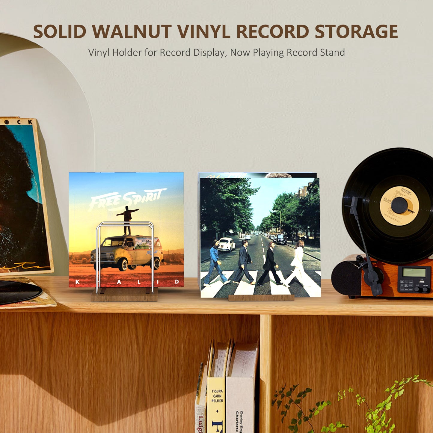 Vinyl Record Holder